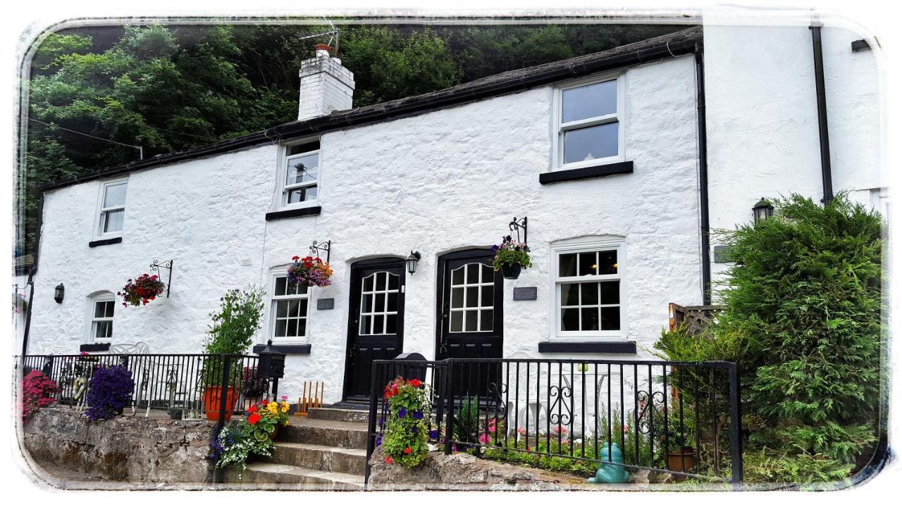 River Cottage Сейнт Асаф Екстериор снимка